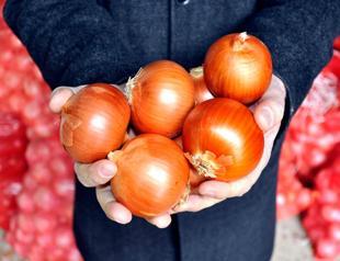 Turkey lifts customs duty on onions until end of February