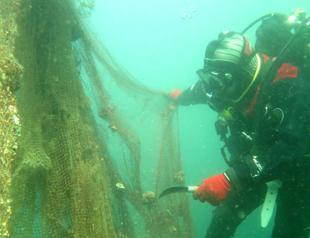 Dardanelles, Aegean island waters freed from ‘ghost nets’