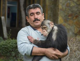 Family therapy for abandoned chimpanzee ‘Can’