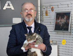 Turkish man sentenced to jail for ‘provoking’ his cat to scratch a woman