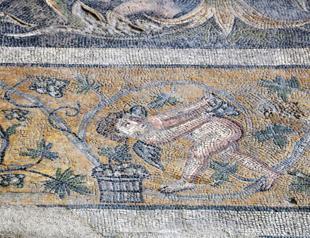 Two mosaic fields in Germanicia open to visitors