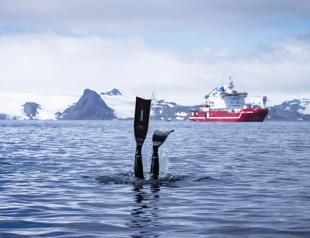 Turkish record holder diver Şahika Ercümen dives into icy Antarctic waters