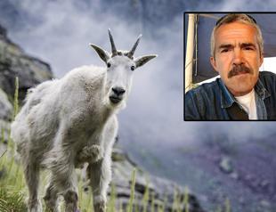 Hunter falls to his death while aiming at wild goat in Turkey’s southwest