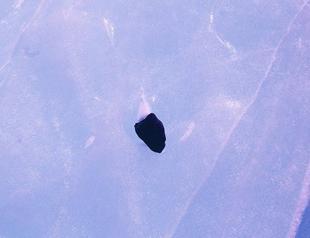 Turkish scientist fetches 3 meteorites from Antarctica