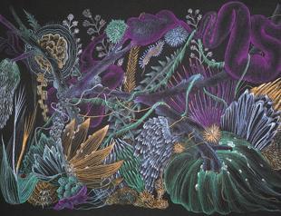 Where science and art collide