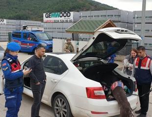 Over 3,500 detained in nationwide safety operation in Turkey