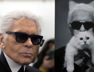 Could Lagerfelds cat Choupette inherit his millions