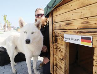 International support for Adana’s stray dogs