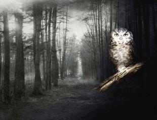 British Council opens up new ways to discover art