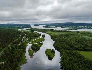 Nearly half of EU covered by forests: Eurostat