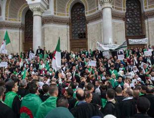 Algeria opposition propose six-month political transition