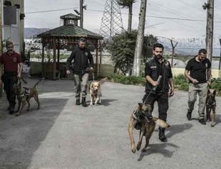 Sniffer dogs in border province challenge int’l drug traffickers
