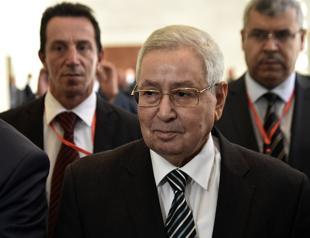 Algerias parliament appoints interim president