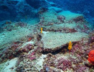 World’s oldest shipwreck found in Mediterranean, say officials