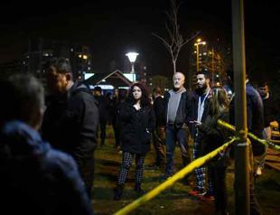 13 dogs die after being deliberately poisoned in Ankara