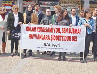 Animal rights activists protest release of suspected killers of stray dogs in Ankara