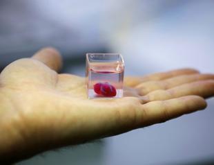 First 3D print of heart with human tissue, vessels unveiled
