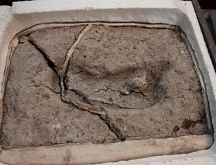 Footprint found in Chile is oldest in Americas