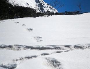 Indian mountaineers reckon they found Yeti footprints