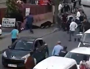 Rottweiler attacks owner and bystander after surgery