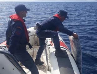 A ton of marijuana found afloat off Ayvalık coast