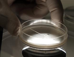 Turkey: Home of stem cell hope for ailing refugees