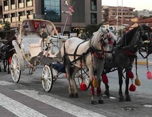 Horse-drawn carriages banned in Kuşadası resort town
