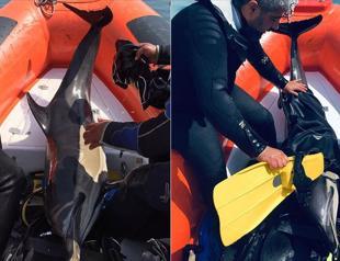 Divers rescue dolphin in Black Sea