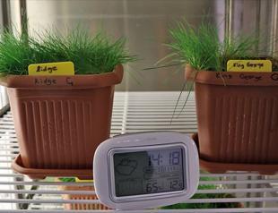 Turkish scientists study plants collected in Antarctica