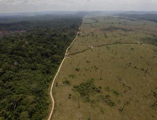 Amazon deforestation ‘at alarming levels’
