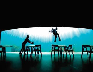 Eat, Marvel: Europe’s first underwater restaurant