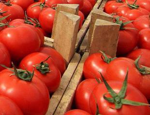 Turkey seeks to boost tomato exports to $1 billion