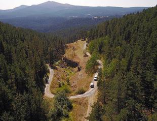 Turkey ranks third worldwide in growing forestland