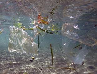 G20 agrees to tackle ocean plastic waste