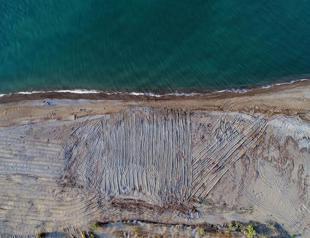 Fifty sea turtle nests destroyed by construction equipment