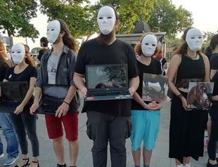 Activists hold protest against horse-drawn carriages