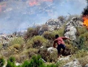 Forest fire consumes 25 acres of land in NW Turkey