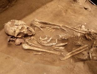 Scholars say Philistine genes help solve biblical mystery