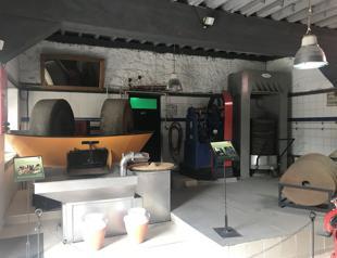 Turkey’s first olive oil museum in Çanakkale