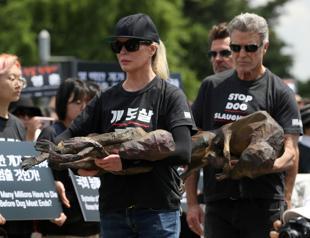 Opposing rallies mark dog meat day in South Korea