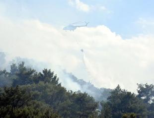 Fire in southwestern Turkey brought under control