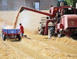 France to ask for early EU aid as drought hits farmers
