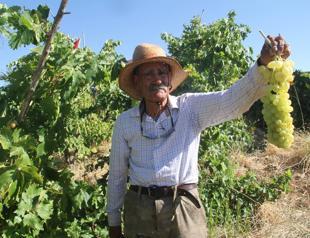 Lonely man turns islet to blooming paradise