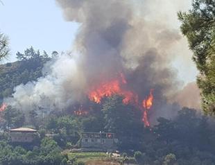 Forest fires in Bodrum, Manavgat contained