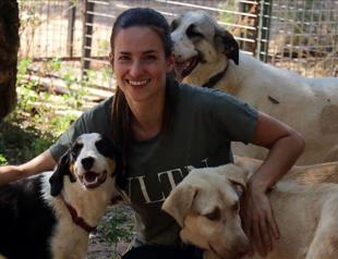 Dutch woman enjoys caring for stray animals in Turkey