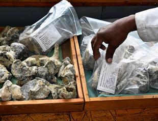 Hidden mysteries lie in wait inside Kenyas fossil treasury