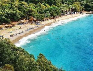 Marmaris bay dedicated to sharks for protection