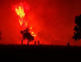 Forest fire near Gallipoli cemeteries contained