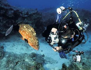 Colorful marine life of Turkey to be exhibited at UN