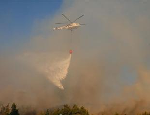Forest fire destroys over 1,200 acres of land